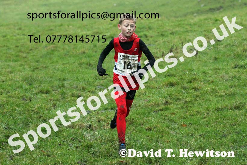 Boys under-13s, NECAA Junior Cross Country Relays, Thornley Farm, Peterlee, Saturday, December 12th. Photo: David T. Hewitson/Sports for All Pics